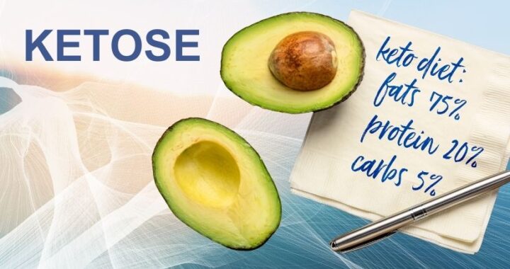 Avocados aufgeschnitten mit Rezept zur Ketose