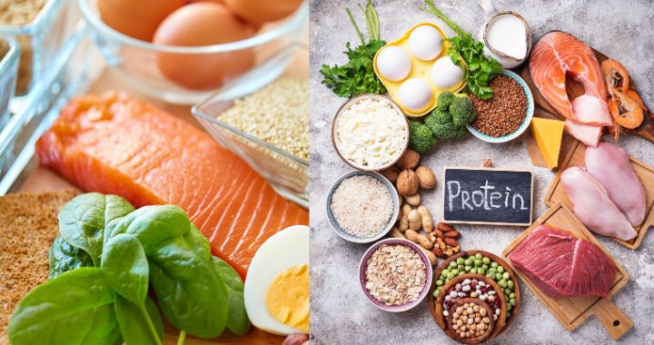 Ausgewählte proteinreiche Lebensmittel wie Lachs, Eier, Hülsenfrüchte, Nüsse, Fleisch und grünes Gemüse – ideal für den 28 Tage Keto Diät Plan kostenlos.